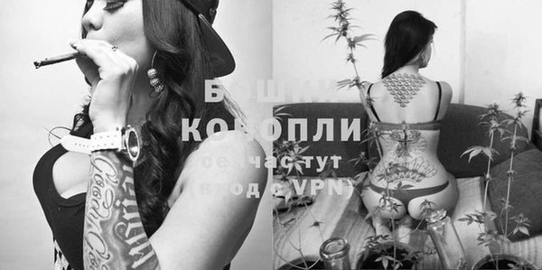 хмурый Арсеньев