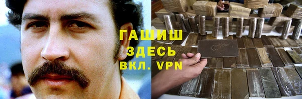 хмурый Арсеньев